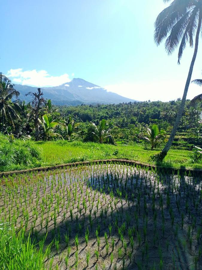 Wina Wani Bungalows Tetebatu Exterior foto